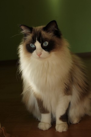 naša fotomodelka Dianka