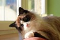 /album/ine/img-0823-jpg/