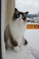 /album/fotogaleria-dianka/img-1836-jpg/