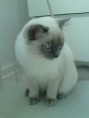 /album/fotky-arthur/dsc04329-jpg/