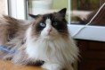 /album/fotogaleria-dianka/img-2988-jpg/