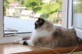 /album/fotogaleria-dianka/img-2992-jpg/
