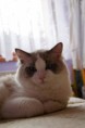 /album/fotogaleria-fotky-aslan/a1277559-618547581509612-2128967758-o-jpg/