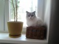/album/fotogaleria-fotky-arwen/a2013-07-22-2010-50-14-jpg/